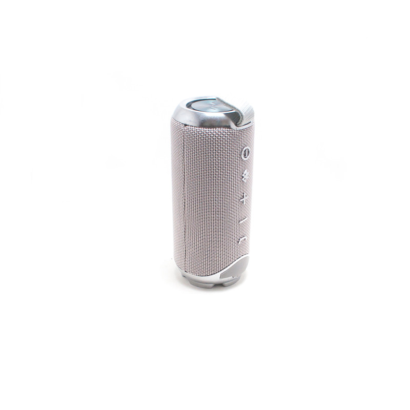 Колонка TiG BL Flip 4+