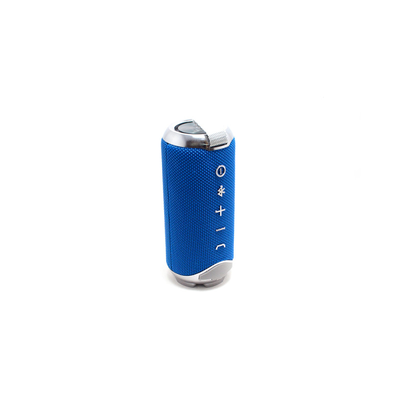 Колонка TiG BL Flip 4+
