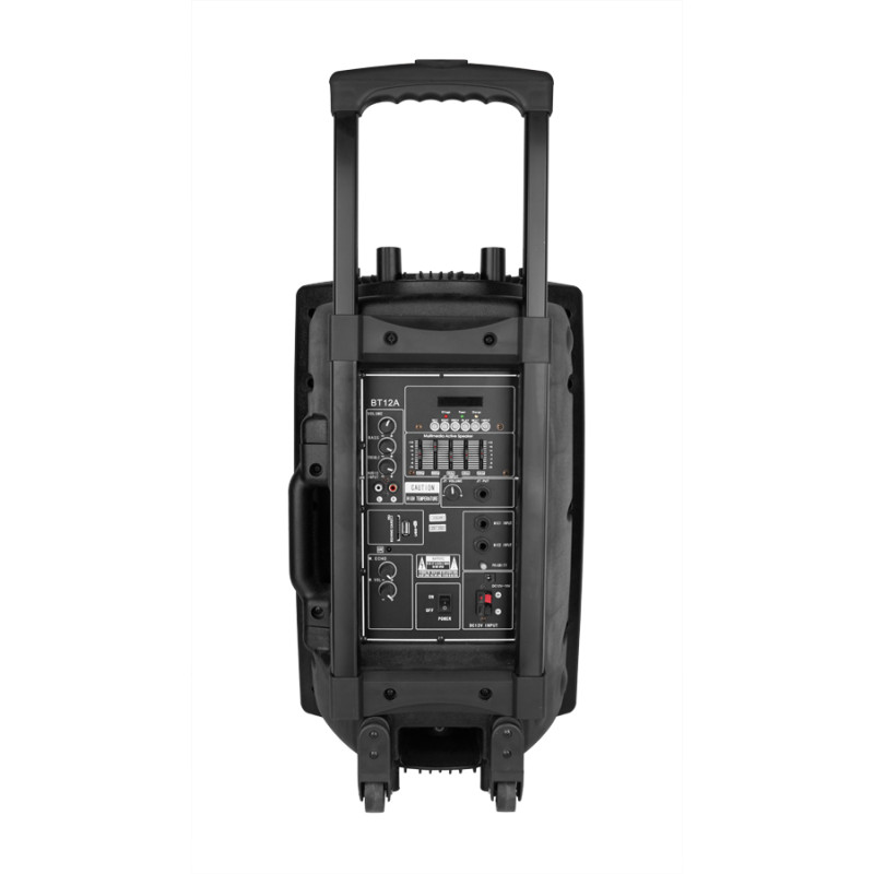 Акустическая система SKYRROCKY BT12A