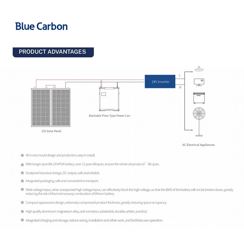 Акумуляторна батарея Blue Carbon LiFePo4 48V 100Ah 5.12kWh