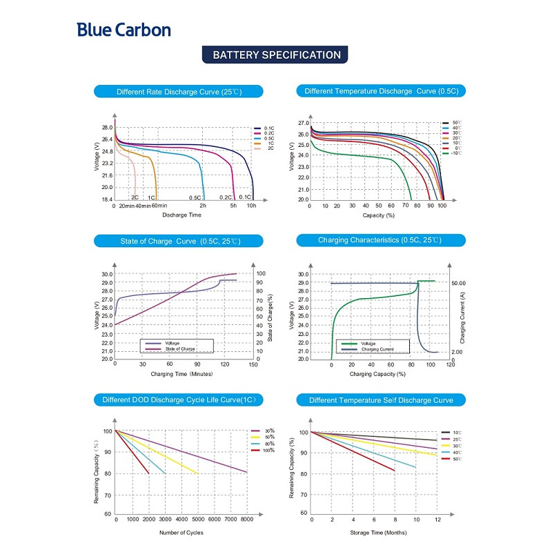 Акумуляторна батарея Blue Carbon LiFePo4 48V 100Ah 5.12kWh